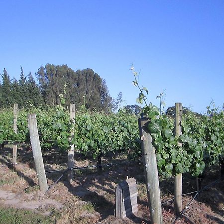 Pearlessence Vineyard Inn Sebastopol Exterior foto