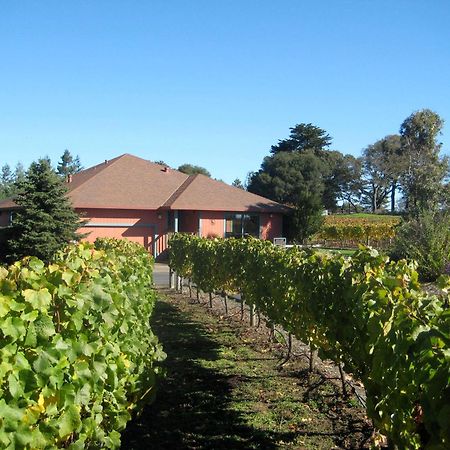Pearlessence Vineyard Inn Sebastopol Exterior foto