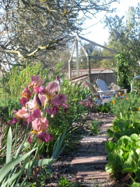 Pearlessence Vineyard Inn Sebastopol Exterior foto