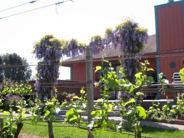 Pearlessence Vineyard Inn Sebastopol Exterior foto
